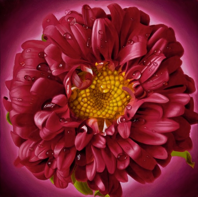 CurlyPinkYellowCenter