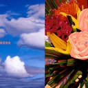 FlowersSky.GalleryBrochure