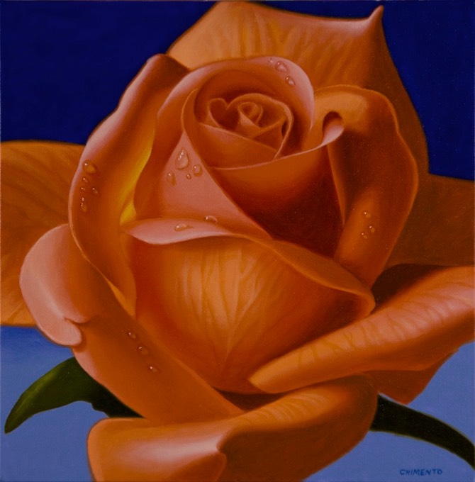 OrangeRose-BlueBackground