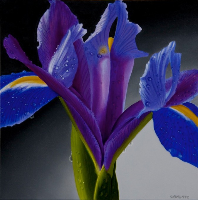 PurpleIris