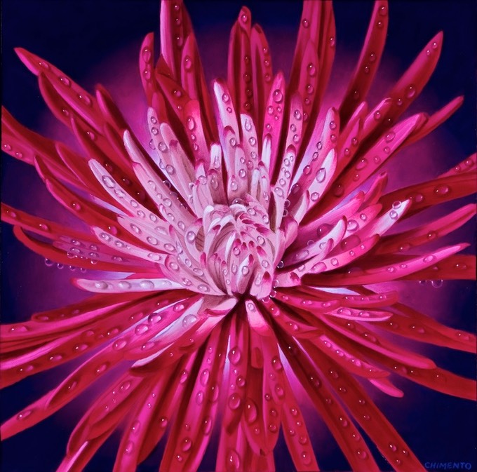 SpiderMumWhiteCenter