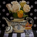 Teapot, Roses & Nemo