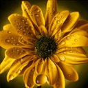 YellowDaisyGreenCenter