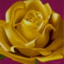 YellowRose