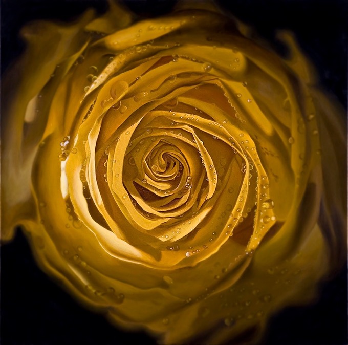 YellowRoseII